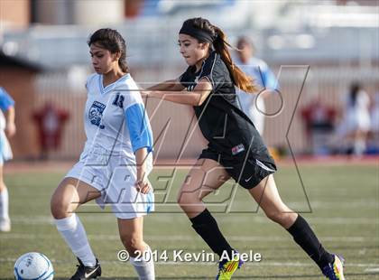 Thumbnail 1 in Vista Grande vs Fairfax (Pride in Paradise Tournament) photogallery.