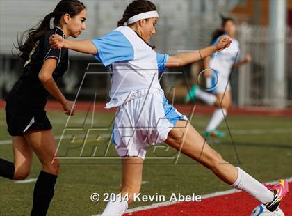 Thumbnail 1 in Vista Grande vs Fairfax (Pride in Paradise Tournament) photogallery.