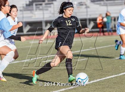 Thumbnail 1 in Vista Grande vs Fairfax (Pride in Paradise Tournament) photogallery.