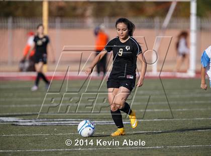 Thumbnail 1 in Vista Grande vs Fairfax (Pride in Paradise Tournament) photogallery.