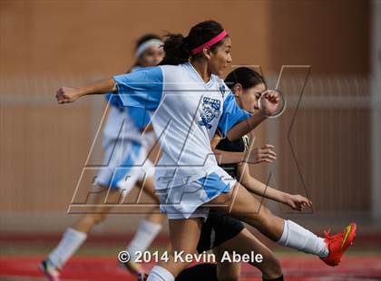Thumbnail 1 in Vista Grande vs Fairfax (Pride in Paradise Tournament) photogallery.
