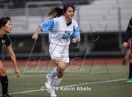 Thumbnail 3 in Vista Grande vs Fairfax (Pride in Paradise Tournament) photogallery.