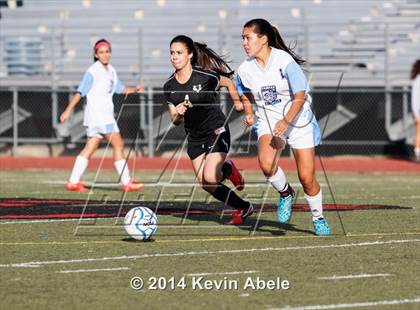 Thumbnail 2 in Vista Grande vs Fairfax (Pride in Paradise Tournament) photogallery.