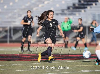 Thumbnail 2 in Vista Grande vs Fairfax (Pride in Paradise Tournament) photogallery.