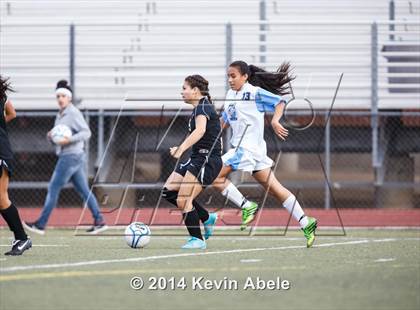 Thumbnail 1 in Vista Grande vs Fairfax (Pride in Paradise Tournament) photogallery.