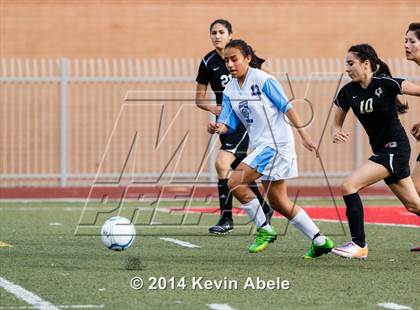 Thumbnail 1 in Vista Grande vs Fairfax (Pride in Paradise Tournament) photogallery.