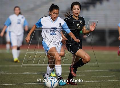 Thumbnail 1 in Vista Grande vs Fairfax (Pride in Paradise Tournament) photogallery.