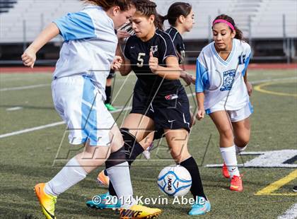 Thumbnail 1 in Vista Grande vs Fairfax (Pride in Paradise Tournament) photogallery.