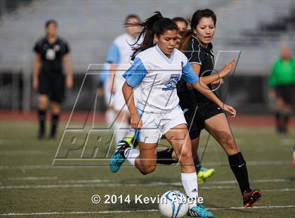 Thumbnail 2 in Vista Grande vs Fairfax (Pride in Paradise Tournament) photogallery.