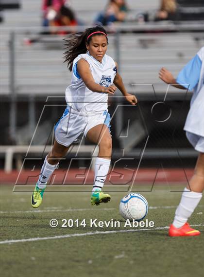Thumbnail 3 in Vista Grande vs Fairfax (Pride in Paradise Tournament) photogallery.