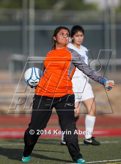 Thumbnail 1 in Vista Grande vs Fairfax (Pride in Paradise Tournament) photogallery.