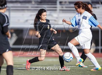 Thumbnail 2 in Vista Grande vs Fairfax (Pride in Paradise Tournament) photogallery.