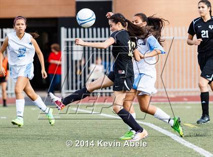 Thumbnail 1 in Vista Grande vs Fairfax (Pride in Paradise Tournament) photogallery.