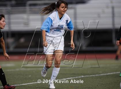 Thumbnail 2 in Vista Grande vs Fairfax (Pride in Paradise Tournament) photogallery.