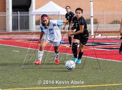 Thumbnail 3 in Vista Grande vs Fairfax (Pride in Paradise Tournament) photogallery.