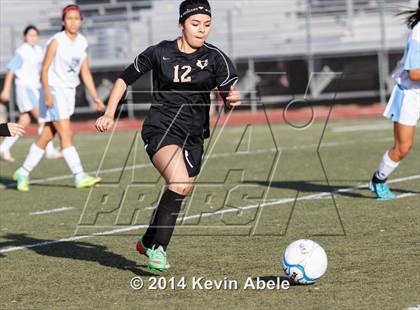 Thumbnail 1 in Vista Grande vs Fairfax (Pride in Paradise Tournament) photogallery.