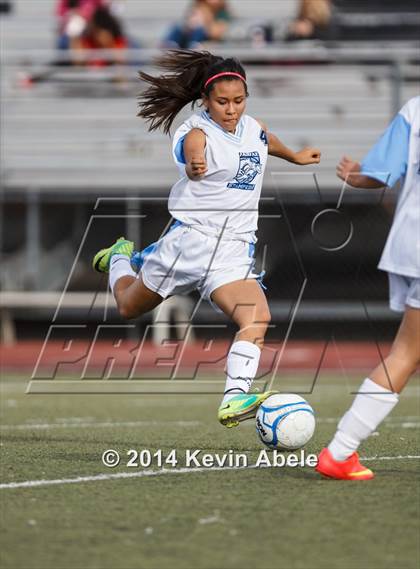 Thumbnail 1 in Vista Grande vs Fairfax (Pride in Paradise Tournament) photogallery.