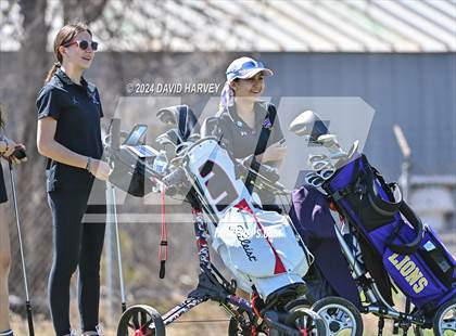 Thumbnail 3 in Jeffco Tourney Number 2 Teams and Individuals photogallery.