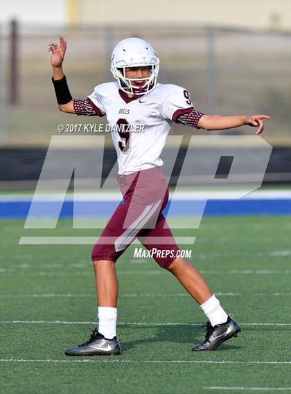 Thumbnail 1 in Bridgeport @ Krum photogallery.