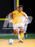 Photo from the gallery "Bishop's @ Francis Parker"