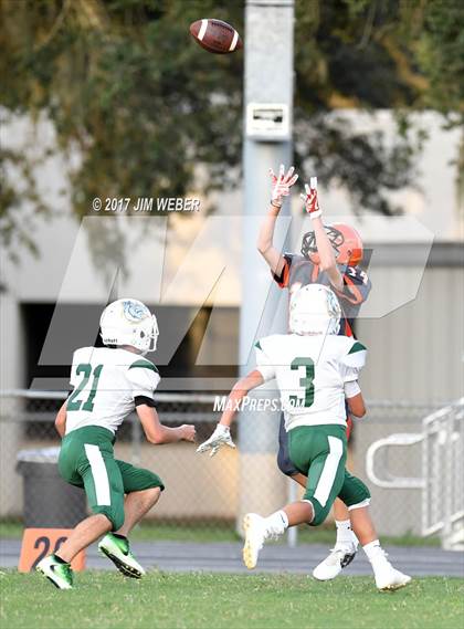 Thumbnail 2 in Cypress Creek @ Zephyrhills photogallery.
