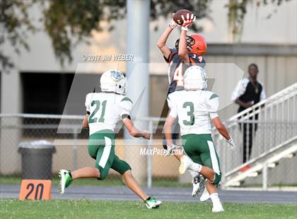 Thumbnail 3 in Cypress Creek @ Zephyrhills photogallery.