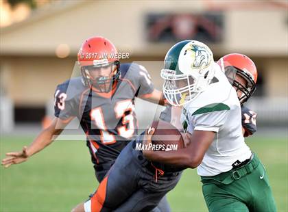 Thumbnail 2 in Cypress Creek @ Zephyrhills photogallery.