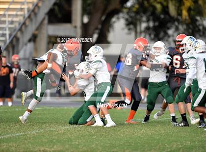 Thumbnail 1 in Cypress Creek @ Zephyrhills photogallery.