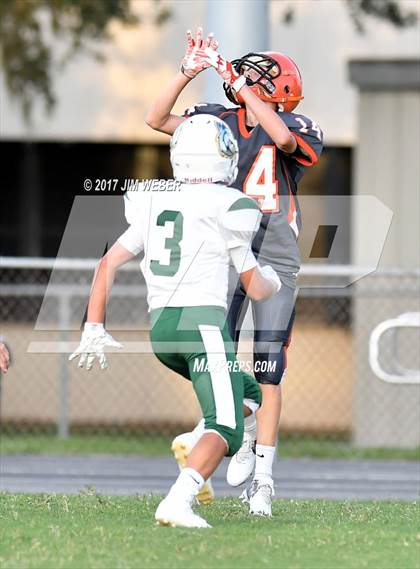 Thumbnail 1 in Cypress Creek @ Zephyrhills photogallery.