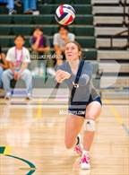 Photo from the gallery "River City @ Kennedy"