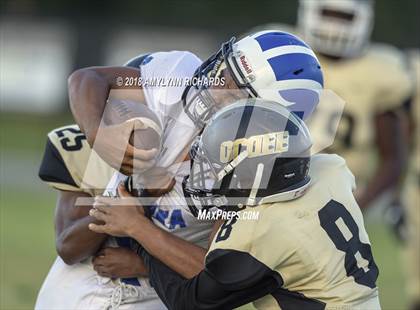 Thumbnail 3 in Apopka @ Ocoee photogallery.