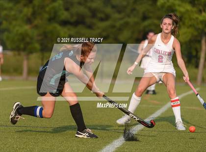 Thumbnail 3 in Hickory @ Princess Anne photogallery.