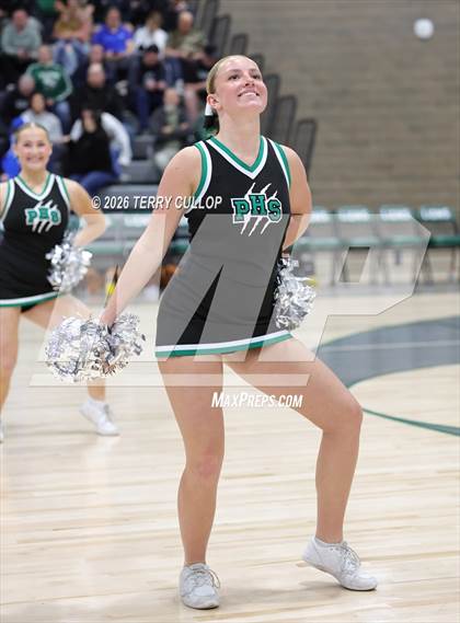 Thumbnail 3 in Payson Cheer photogallery.