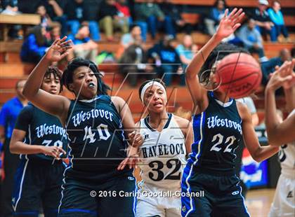 Thumbnail 1 in Westover @ Havelock photogallery.