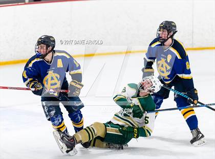 Thumbnail 1 in Arlington Catholic @ Matignon photogallery.