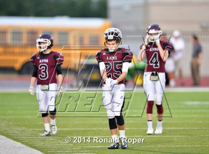 Thumbnail 2 in Wylie East @ Wylie photogallery.