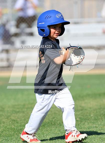Thumbnail 1 in Bellflower vs. Norwalk photogallery.