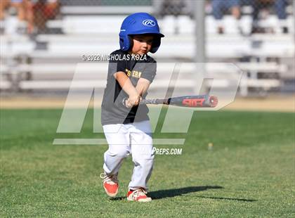 Thumbnail 2 in Bellflower vs. Norwalk photogallery.