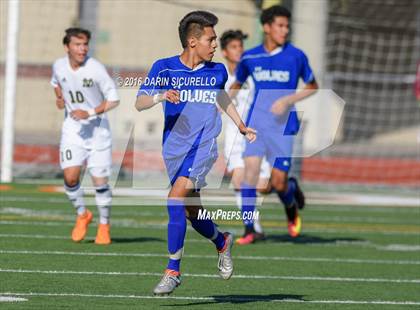 Thumbnail 2 in Chandler vs. Desert Vista ( Coyote Classic Tournament ) photogallery.