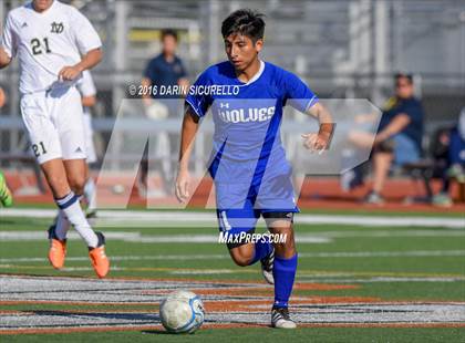 Thumbnail 1 in Chandler vs. Desert Vista ( Coyote Classic Tournament ) photogallery.