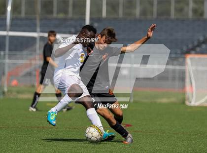 Thumbnail 2 in Grand Junction vs Palmer photogallery.