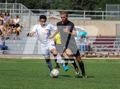 Thumbnail 3 in Grand Junction vs Palmer photogallery.