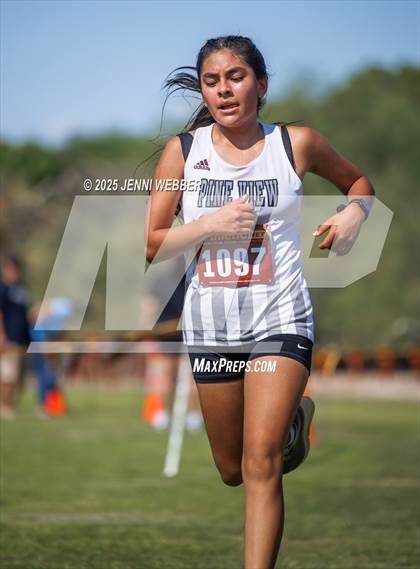 Thumbnail 2 in Larry Burgess Invitational B photogallery.