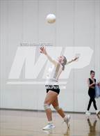 Photo from the gallery "Gardiner @ Cony"