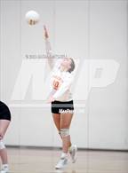 Photo from the gallery "Gardiner @ Cony"