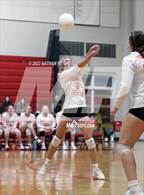 Photo from the gallery "Gardiner @ Cony"