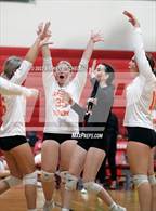 Photo from the gallery "Gardiner @ Cony"