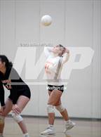 Photo from the gallery "Gardiner @ Cony"