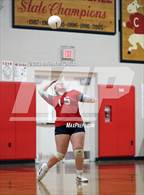 Photo from the gallery "Gardiner @ Cony"