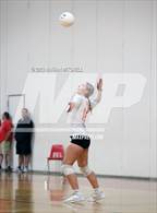 Photo from the gallery "Gardiner @ Cony"